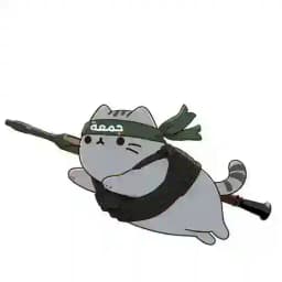 Palestine Free - Malaysia Military Power Profile