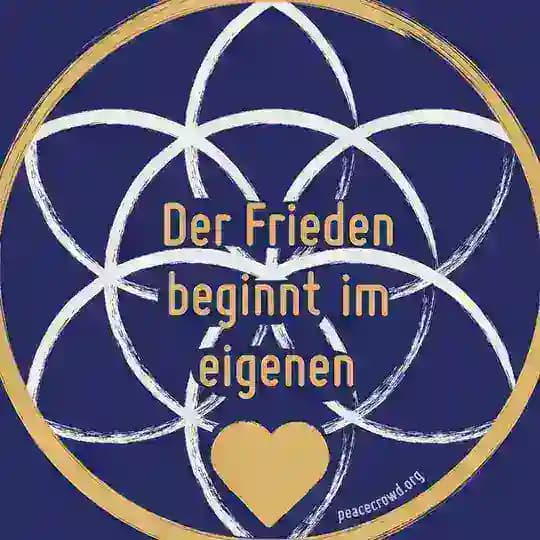 Peacecrowd Gruppe Profile