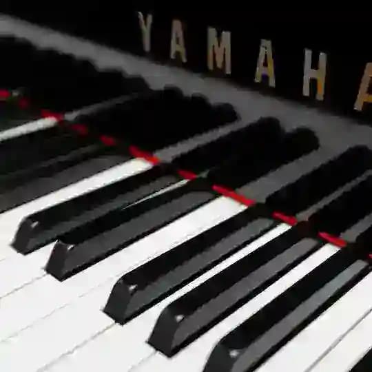 Keyboardist group🎹🎹🎼🎧🎺 Profile