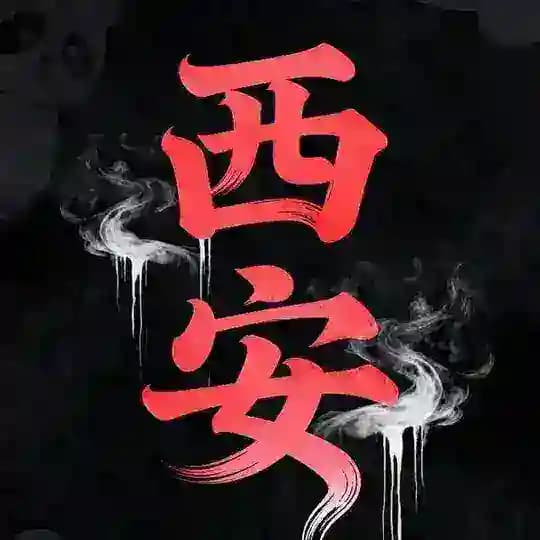 西安修车工兵团 Profile