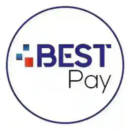 BestPay III Profile
