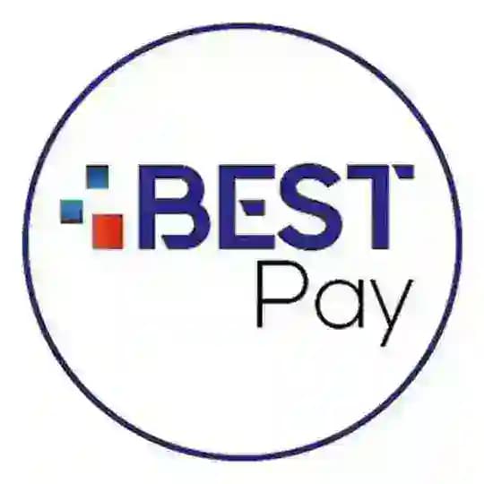 BestPay III Profile