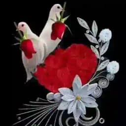 🌺🌺(SIRLI QO'NG'IROQ)🌺🌺 Profile