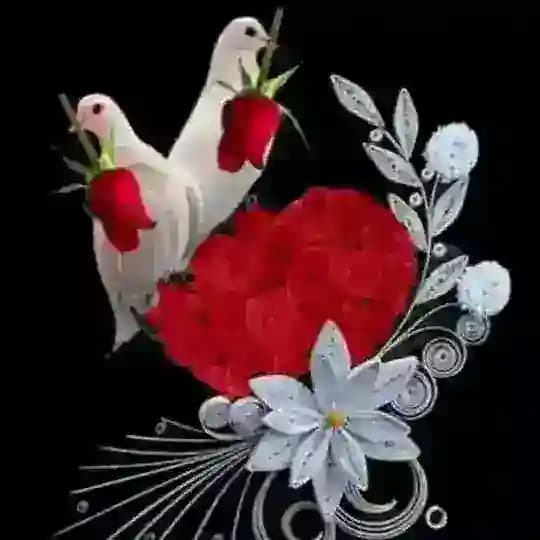 🌺🌺(SIRLI QO'NG'IROQ)🌺🌺 Profile