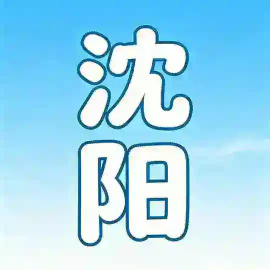 沈阳修车出击队 Profile