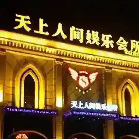 深圳天上人间 Profile