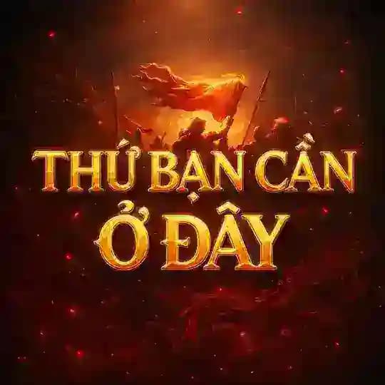 THỨ BẠN CẦN Ở ĐÂY Profile