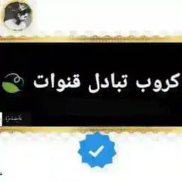 تبادل قنوات اشتراكات زيادة مشاهدات و تصويتات و تفاعلات ودعم ورشق تلكرام انستا فيس يوتيوب حقيقي تبادلات تبادل كروبات تيك توك كروب Profile