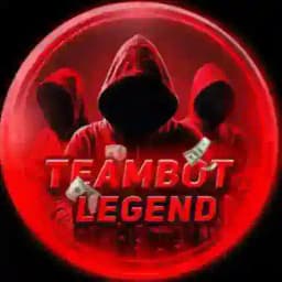 𝐓𝐞𝐚𝐦𝐛𝐨𝐭 ! Profile