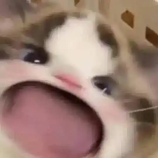 RẢI LINK PHỐT BOSS BÙNG Profile