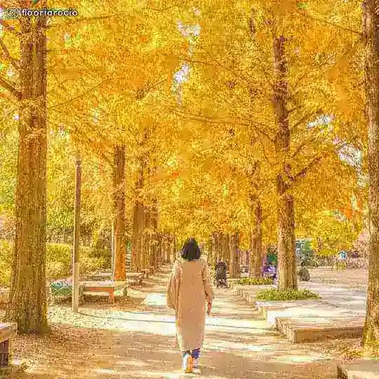 Top movie and Series Offical Group Profile