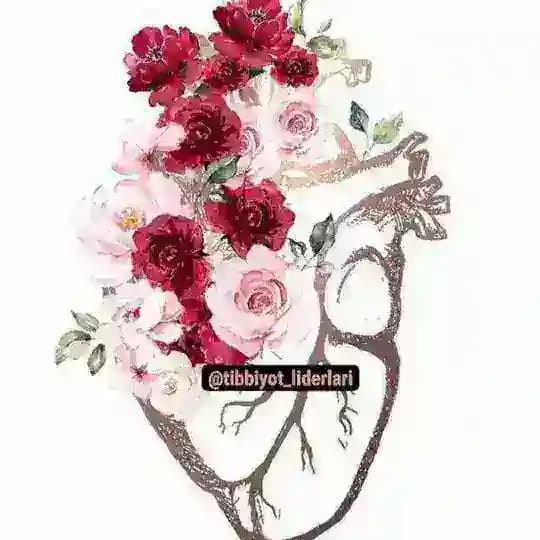 👨‍⚕👨‍⚕❤️KASBIM FAXRIM❤️🧑‍⚕🧑‍⚕ Profile