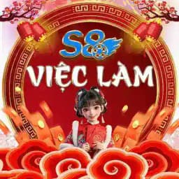 S8 Việc Làm Profile
