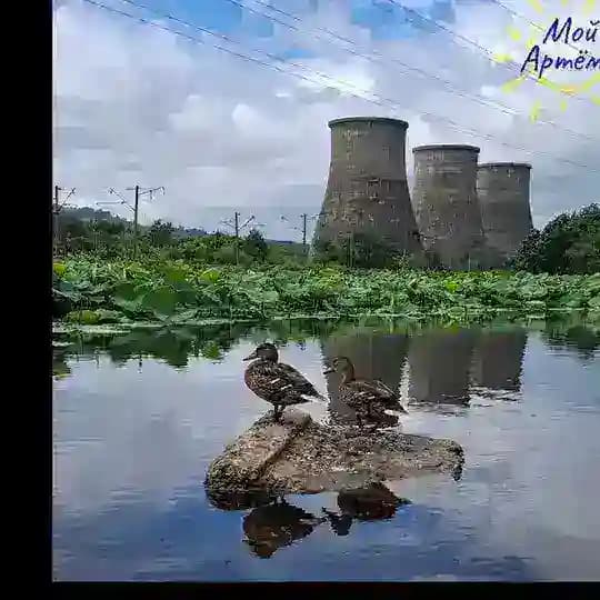 ТУ "Артемовский" администрации АГО чат Profile