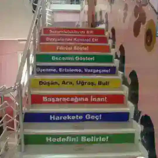 Milliy Sertifikat Türk Dili Profile