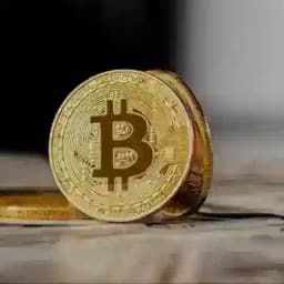 Holon litsen Profile