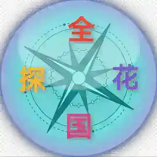 全国探花（中低高端）外围 Profile