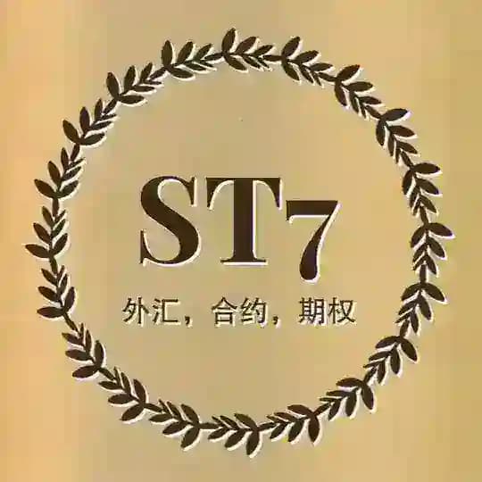 外汇*合约*期权 Profile