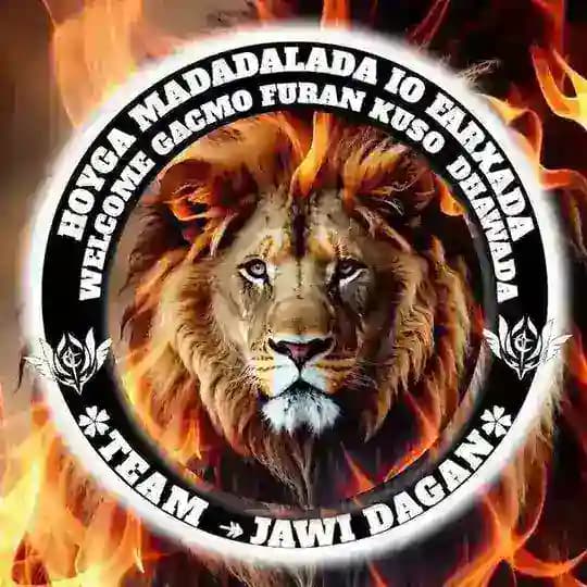 ✿𝑻𝑬𝑨𝑴 ↞ 𝐉𝐀𝐖𝐈↞ 𝐃𝐀𝐆𝐀𝐍✿ Profile