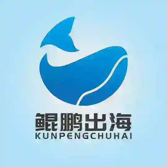 鲲鹏出海-海外资源项目交流群 Profile