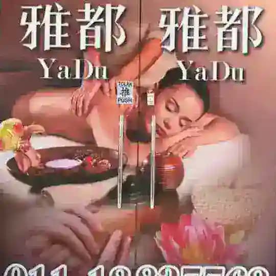 雅都 Yadu Profile