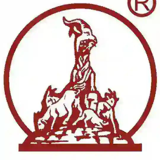 羊城印象 Profile