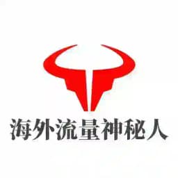 海外流量/国际短信/谷歌竞价 Profile