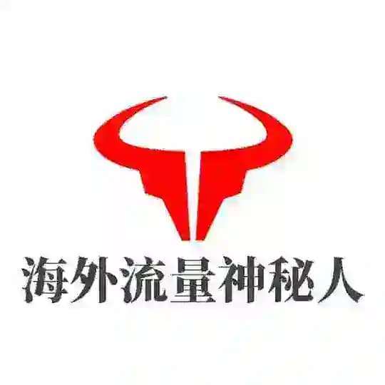 海外流量/国际短信/谷歌竞价 Profile