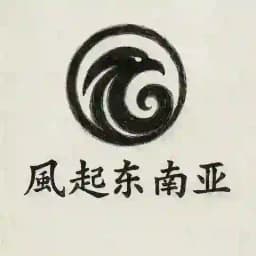 风起东南亚 Profile