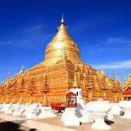 缅甸 缅北 大其力 老街 木姐 小勐拉 妙瓦低 娱乐聊天群 Profile