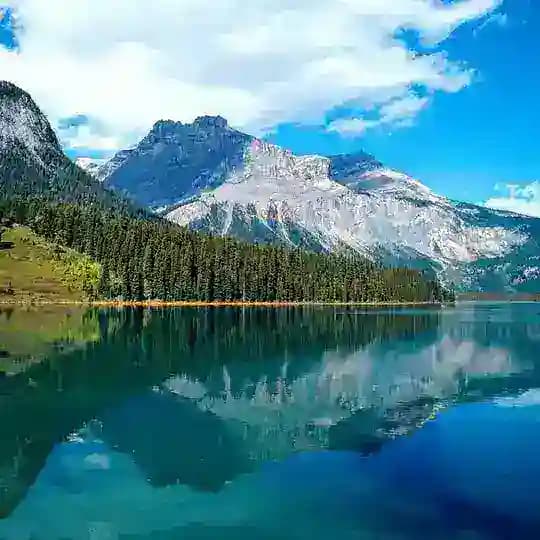 中华 天象 Profile