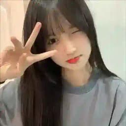 深圳茶文化 Profile