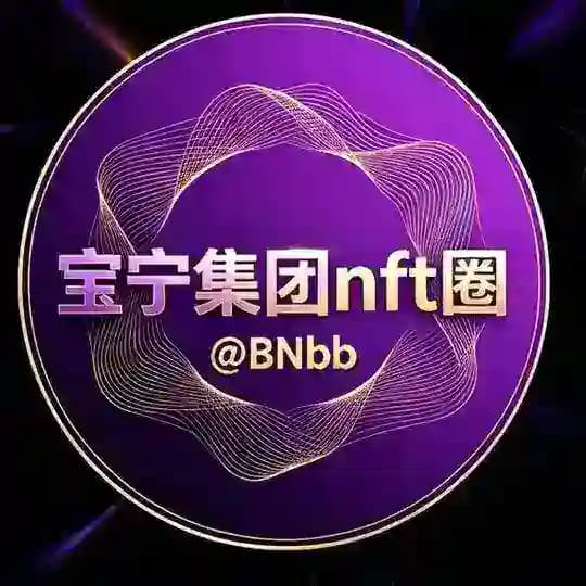 宝宁集团 NFT +888 id交易交流群 Profile