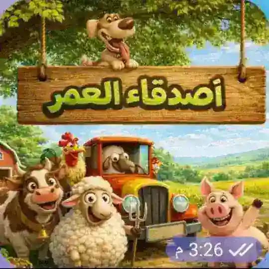 𝑯𝑨𝒀 𝑫𝑨𝒀 "اصہٰدقاء الہٰعمر" Profile
