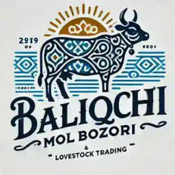 BALIQCHI MOL BOZORI Profile