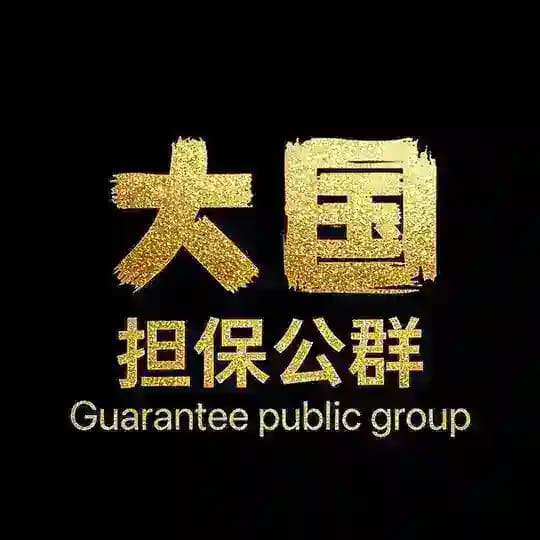 010-大国担保公群已上押10000u Profile