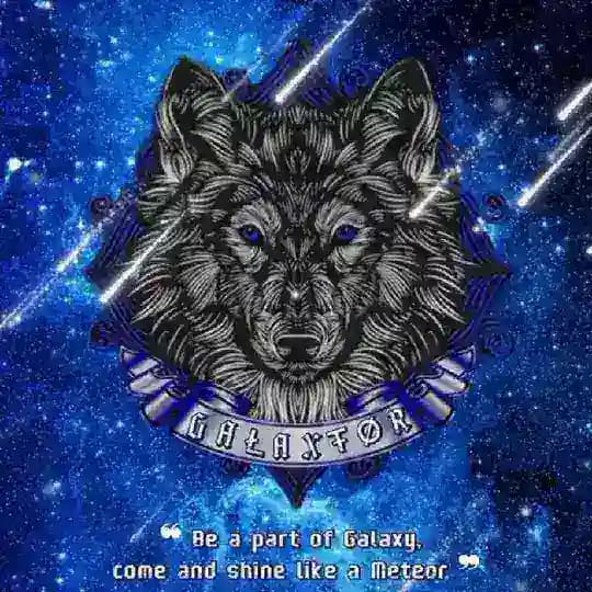 LPM GALAXTOR Profile