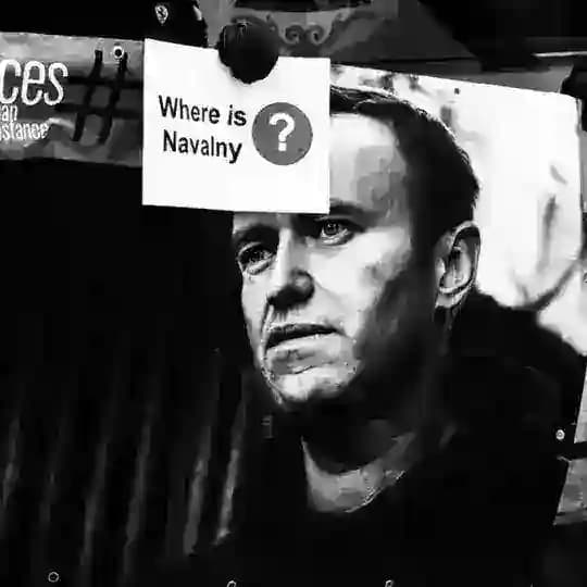 Navalny Israel Profile
