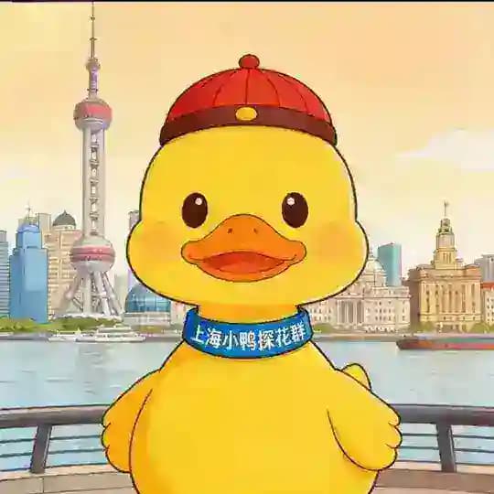 上海小鸭探花群（轮播）无广告版 Profile