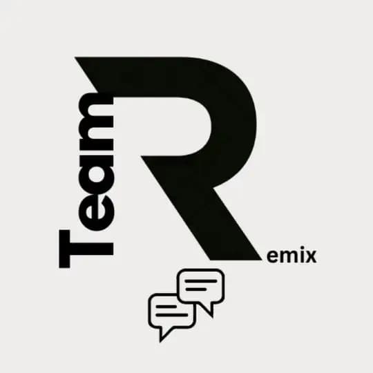 TeamRemix REBORN Profile
