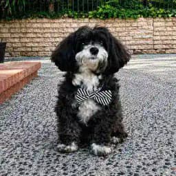 Marvin Profile