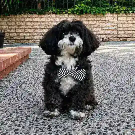 Marvin Profile