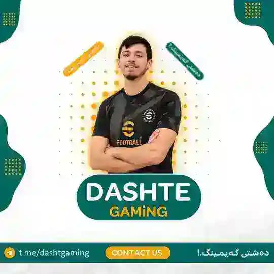 Grup_DaShTe_gaming Profile