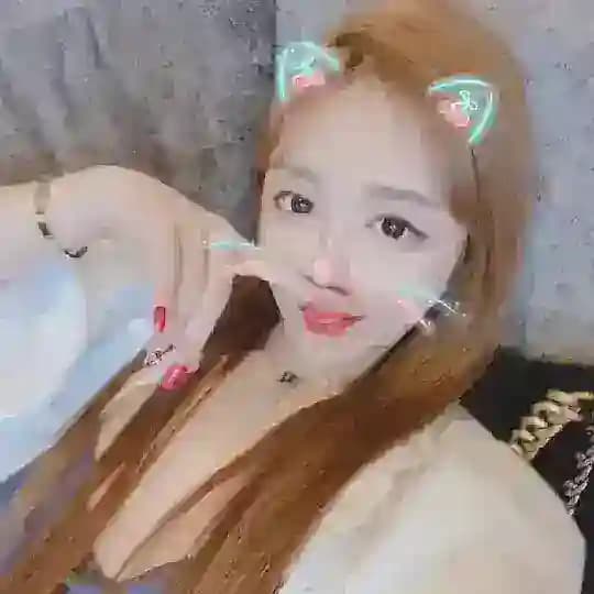 尋寶閣VIP專區❤️ Profile