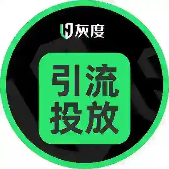 灰度海外引流交流 Profile