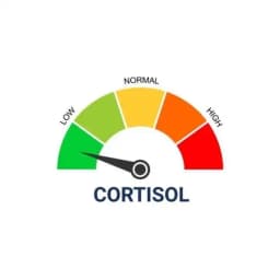 Low Cortisol Sunday Profile