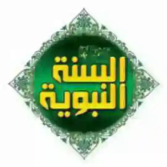 صحيح السنة النبوية Profile