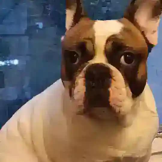 Джонни дома ❤️ Profile