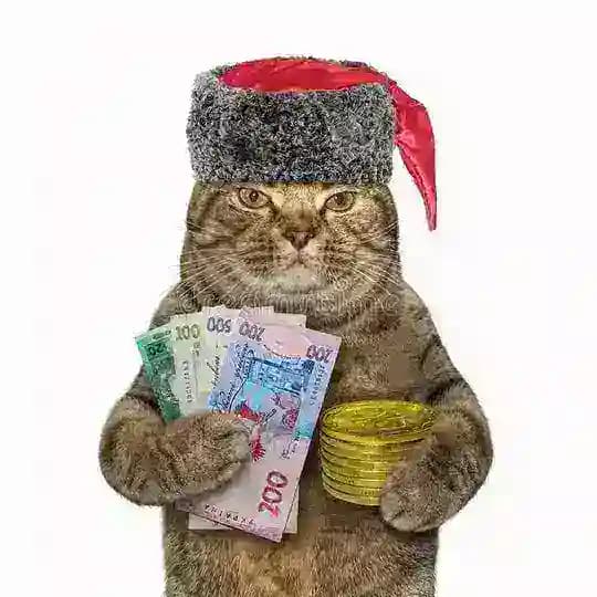 Продаж Котів | Sale Cats Profile