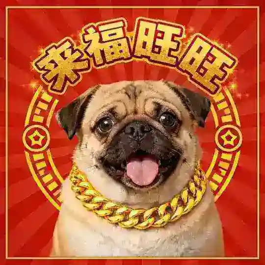 < 来福旺旺 > 老牌话费三方卷王，诚招 三网话单核销 大四方 盘口大佬- 公群-七天担保10000u（六尾 帝皇丸） Profile